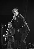 The Hives (12)